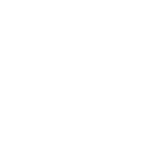 The Daily Blooms
