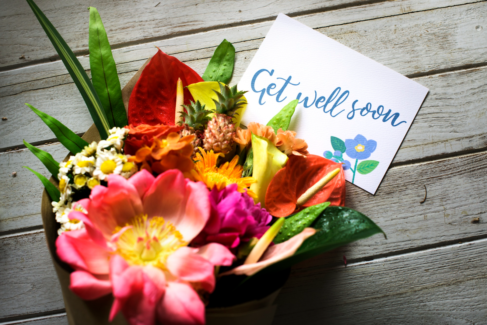 10 Healing Flowers: Symbolisms And Medicinal Properties – The Daily Blooms