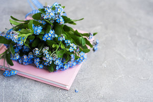25 Thoughtful Flowers That Say “I’m Thinking Of You”