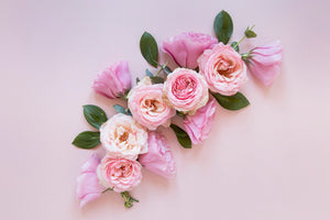 33 Beautiful Flowers That Represent Gratitude And Appreciation