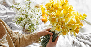 19 Types Of Daffodils For Bouquets And Decorative Arrangements