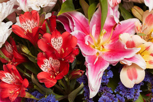 Discover 8 Stunning Types Of Alstroemeria You’ll Love