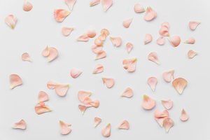 How To Keep Rose Petals Fresh: 8 Ways To Preserve Their Beauty