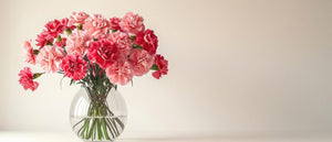 15 Tips On How To Take Care Of Carnations In A Vase