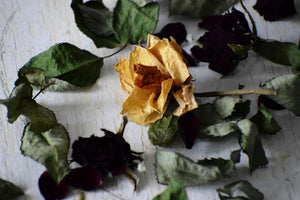 What To Do With Wilted Flowers? 17 Ways To Revive Your Dead Flowers