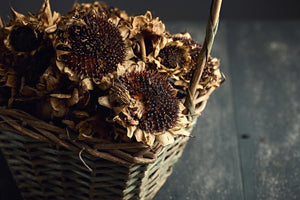 How To Dry Sunflowers: 4 Ways To Preserve Their Beauty