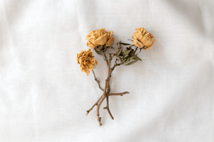 How To Bring Flowers Back To Life? 8 Ways To Keep Your Bouquets Fresh