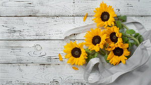 40 Different Types Of Sunflowers And Their Unique Charm