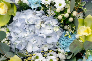 19 Different Types Of Hydrangeas For Your Floral Arrangements