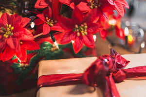 15 Easy Christmas Flower Arrangement Ideas for Your Festive Home