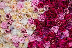 25 Flowers That Look Like Roses For Your Bouquets