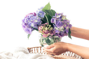 How To Dry Hydrangeas For A Beautiful Arrangement: 4 Things To Consider