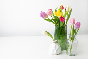 How To Take Care Of Tulips In A Vase? The Ultimate Guide