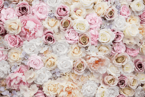 Understanding Each Rose Colour Meanings: 7 Roses And Its Message